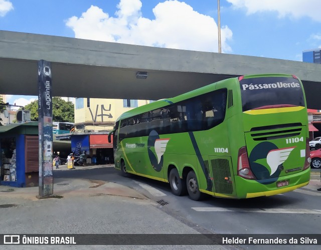 Pássaro Verde 11104 na cidade de Belo Horizonte, Minas Gerais, Brasil, por Helder Fernandes da Silva. ID da foto: 11861504.