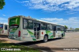 TCCC - Transporte Coletivo Cidade Canção 7433 na cidade de Maringá, Paraná, Brasil, por Rodrigo Matheus. ID da foto: :id.