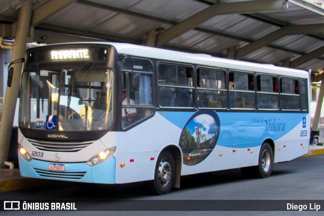 Santa Teresinha Transporte e Turismo - Brusquetur 1203 na cidade de Videira, Santa Catarina, Brasil, por Diego Lip. ID da foto: 11864243.