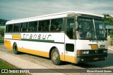 Transur - Transporte Rodoviário Mansur 4504 na cidade de Juiz de Fora, Minas Gerais, Brasil, por Eliziar Maciel Soares. ID da foto: :id.