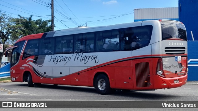 Empresa de Ônibus Pássaro Marron 5632 na cidade de Caraguatatuba, São Paulo, Brasil, por Vinícius Santos. ID da foto: 11869786.