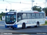 SOGIL - Sociedade de Ônibus Gigante Ltda. 166 na cidade de Gravataí, Rio Grande do Sul, Brasil, por Maurício Rodrigues. ID da foto: :id.