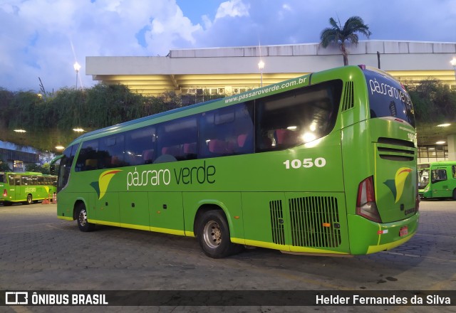 Pássaro Verde 1050 na cidade de Belo Horizonte, Minas Gerais, Brasil, por Helder Fernandes da Silva. ID da foto: 11875575.