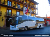 Buses Ruta Muermos 01 na cidade de Santa Cruz, Colchagua, Libertador General Bernardo O'Higgins, Chile, por Pablo Andres Yavar Espinoza. ID da foto: :id.
