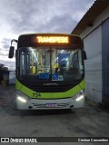 TransPessoal Transportes 734 na cidade de Rio Grande, Rio Grande do Sul, Brasil, por Cristian Consentins. ID da foto: :id.