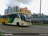 Empresa Gontijo de Transportes 21325 na cidade de Ipatinga, Minas Gerais, Brasil, por Celso ROTA381. ID da foto: :id.