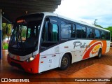 Viação Platina 6700 na cidade de Gouvelândia, Goiás, Brasil, por Vanderlei da Costa Silva Filho. ID da foto: :id.