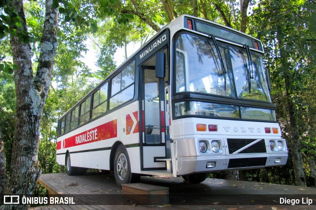 Ônibus Particulares RADIALESTE na cidade de Pinhalzinho, Santa Catarina, Brasil, por Diego Lip. ID da foto: 11889326.