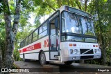 Ônibus Particulares RADIALESTE na cidade de Pinhalzinho, Santa Catarina, Brasil, por Diego Lip. ID da foto: :id.