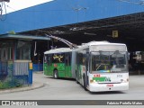 Next Mobilidade - ABC Sistema de Transporte 8110 na cidade de Santo André, São Paulo, Brasil, por Fabrício Portella Matos. ID da foto: :id.