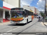 Viasul Transportes Coletivos 6680 na cidade de Itaúna, Minas Gerais, Brasil, por Rafael Ferreira Lopes. ID da foto: :id.