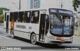 Borborema Imperial Transportes 579 na cidade de Recife, Pernambuco, Brasil, por Carlos Henrique. ID da foto: :id.