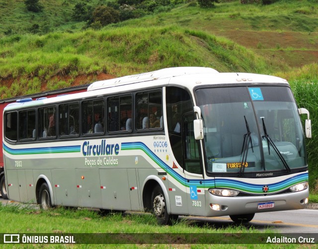 Auto Omnibus Circullare 7803 na cidade de Aparecida, São Paulo, Brasil, por Adailton Cruz. ID da foto: 11908591.