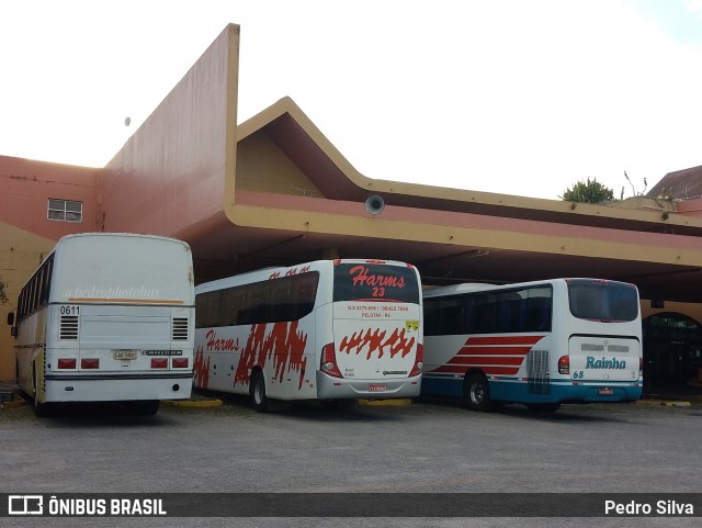 Ônibus Particulares 0611 na cidade de Pelotas, Rio Grande do Sul, Brasil, por Pedro Silva. ID da foto: 11848015.