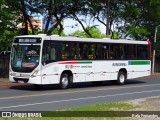Borborema Imperial Transportes 302 na cidade de Recife, Pernambuco, Brasil, por Rafa Fernandes. ID da foto: :id.