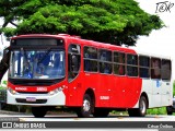 Companhia Coordenadas de Transportes 25E53 na cidade de Belo Horizonte, Minas Gerais, Brasil, por César Ônibus. ID da foto: :id.