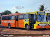 Empresa de Transporte Coletivo Trans Acreana 809 na cidade de Rio Branco, Acre, Brasil, por Tôni Cristian. ID da foto: :id.