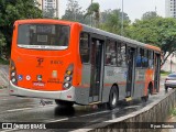 TRANSPPASS - Transporte de Passageiros 8 0976 na cidade de São Paulo, São Paulo, Brasil, por Ryan Santos. ID da foto: :id.