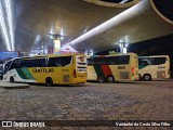 Empresa Gontijo de Transportes 7095 na cidade de Uberlândia, Minas Gerais, Brasil, por Vanderlei da Costa Silva Filho. ID da foto: :id.