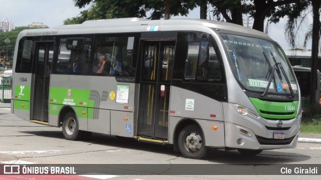 Transcooper > Norte Buss 1 6044 na cidade de São Paulo, São Paulo, Brasil, por Cle Giraldi. ID da foto: 11933387.
