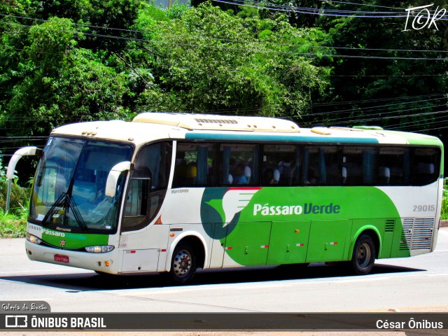 Pássaro Verde 29015 na cidade de Sabará, Minas Gerais, Brasil, por César Ônibus. ID da foto: 11935289.