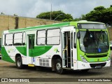 Alfetur - Alfenas Transportes e Turismo 4100 na cidade de Alfenas, Minas Gerais, Brasil, por Kelvin Silva Caovila Santos. ID da foto: :id.