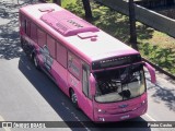 Felippetur Transportes Boate Bus Pink na cidade de Belo Horizonte, Minas Gerais, Brasil, por Pedro Castro. ID da foto: :id.