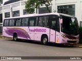 TransMargoo 1101 na cidade de Cruzeiro, São Paulo, Brasil, por Apollo Silva. ID da foto: :id.