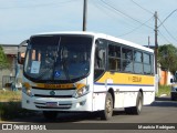 Linlex Transportes CE-19 na cidade de Gravataí, Rio Grande do Sul, Brasil, por Maurício Rodrigues. ID da foto: :id.