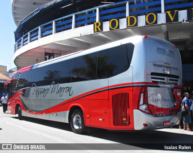 Empresa de Ônibus Pássaro Marron 6008 na cidade de Aparecida, São Paulo, Brasil, por Isaias Ralen. ID da foto: 11945523.