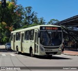 Araucária Transportes Coletivos 19M05 na cidade de Curitiba, Paraná, Brasil, por Amauri Caetamo. ID da foto: :id.