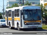 Linlex Transportes CE-87 na cidade de Gravataí, Rio Grande do Sul, Brasil, por Maurício Rodrigues. ID da foto: :id.