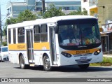 Linlex Transportes  na cidade de Gravataí, Rio Grande do Sul, Brasil, por Maurício Rodrigues. ID da foto: :id.