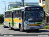 Linlex Transportes 1165 na cidade de Gravataí, Rio Grande do Sul, Brasil, por Maurício Rodrigues. ID da foto: :id.