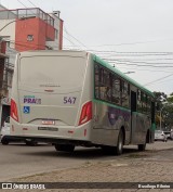 Viação Nossa Senhora Conquistadora 547 na cidade de Pelotas, Rio Grande do Sul, Brasil, por Busólogo Ribeiro. ID da foto: :id.