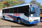 Brubuss Transportes 100 na cidade de Campinas, São Paulo, Brasil, por Prisco Martin Pereira. ID da foto: :id.