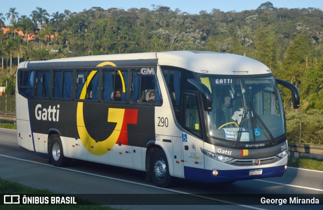 Gatti 290 na cidade de Santa Isabel, São Paulo, Brasil, por George Miranda. ID da foto: 11951735.