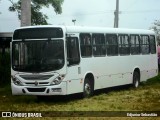 Ônibus Particulares 3B52 na cidade de Paudalho, Pernambuco, Brasil, por Edjunior Sebastião. ID da foto: :id.