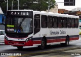 Empresa de Transportes Limousine Carioca RJ 129.025 na cidade de Rio de Janeiro, Rio de Janeiro, Brasil, por Luiz Petriz. ID da foto: :id.