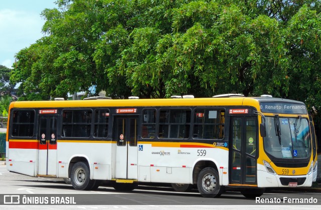 Empresa Metropolitana 559 na cidade de Recife, Pernambuco, Brasil, por Renato Fernando. ID da foto: 11955117.