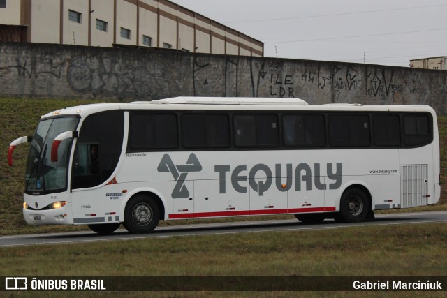 Grupo Tequaly FT 001 na cidade de Curitiba, Paraná, Brasil, por Gabriel Marciniuk. ID da foto: 11957986.