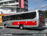 Allibus Transportes 4 5258 na cidade de São Paulo, São Paulo, Brasil, por Gilberto Mendes dos Santos. ID da foto: :id.