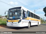 Linlex Transportes CE-04 na cidade de Gravataí, Rio Grande do Sul, Brasil, por Maurício Rodrigues. ID da foto: :id.