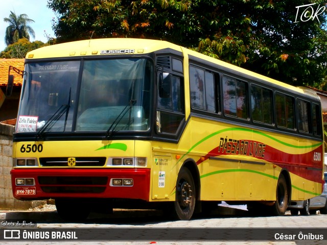 Viação Pássaro Livre 6500 na cidade de Nova União, Minas Gerais, Brasil, por César Ônibus. ID da foto: 11961004.