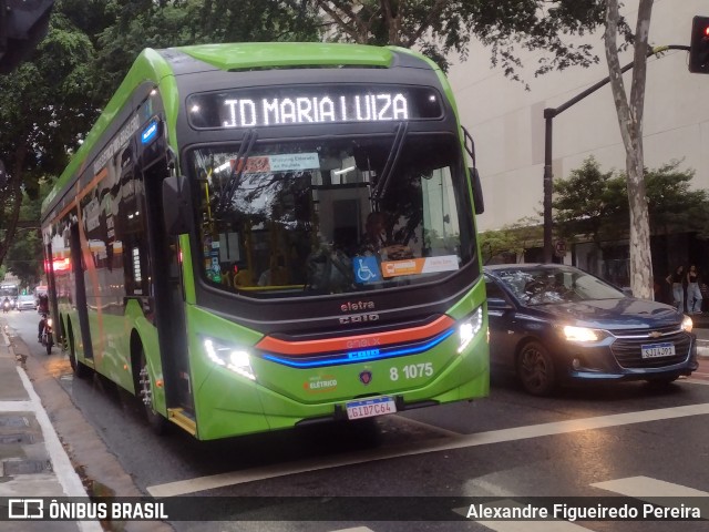 TRANSPPASS - Transporte de Passageiros 8 1075 na cidade de São Paulo, São Paulo, Brasil, por Alexandre Figueiredo Pereira. ID da foto: 11961158.