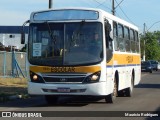 Linlex Transportes CE-87 na cidade de Gravataí, Rio Grande do Sul, Brasil, por Maurício Rodrigues. ID da foto: :id.