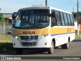 Linlex Transportes CE-30 na cidade de Gravataí, Rio Grande do Sul, Brasil, por Maurício Rodrigues. ID da foto: :id.