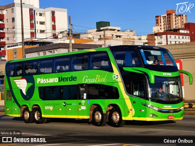 Pássaro Verde 12119 na cidade de Belo Horizonte, Minas Gerais, Brasil, por César Ônibus. ID da foto: 11963627.
