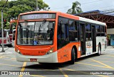 TRANSPPASS - Transporte de Passageiros 8 1227 na cidade de São Paulo, São Paulo, Brasil, por Hipólito Rodrigues. ID da foto: :id.