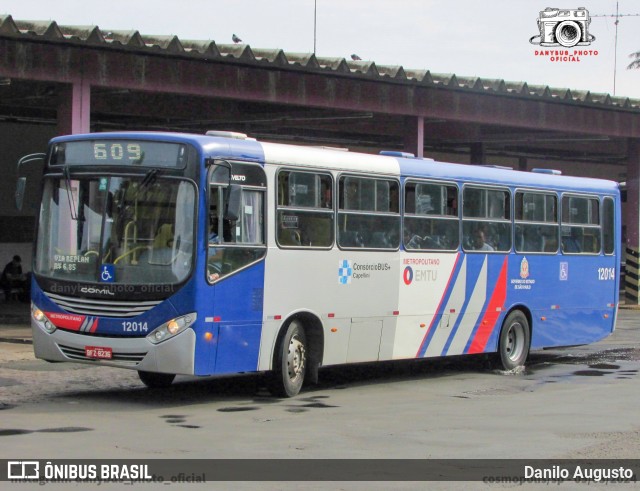 Transportes Capellini 12014 na cidade de Cosmópolis, São Paulo, Brasil, por Danilo Augusto. ID da foto: 11968524.